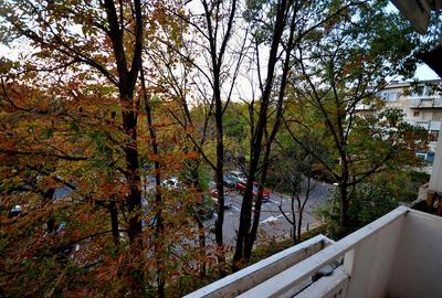 Apartament 4 camere - Tineretului - pozitionare excelenta - 1