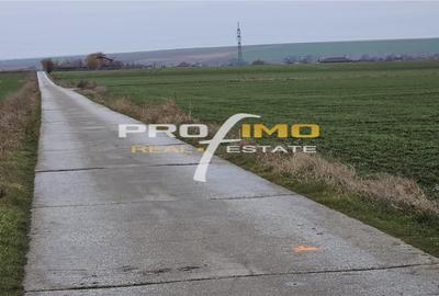 Plaja Corbu-Teren 4200mp. la numai 8 euro /mp. Soseaua asfaltata - 13