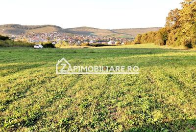 De vanzare 2 terenuri de 29.500 mp si 1.400 mp.29 euro mp - 11