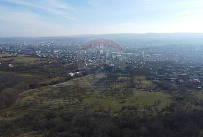 Teren 20.146 mp Dâmbu Rotund (Lomb).Extravilan.Potențial rezidențial - 7