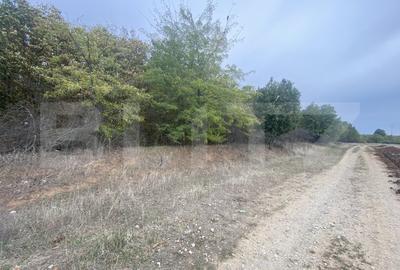 Teren partial intravilan 15000 mp, deschidere 136 m, zona Padure Cosoveni - 1