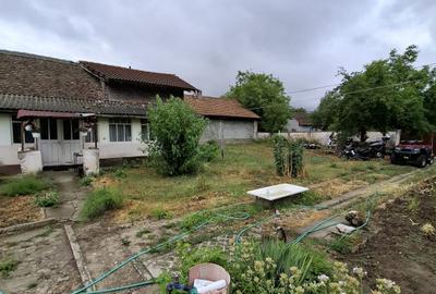 Giarmata Mare - Teren Constructii Case - 4