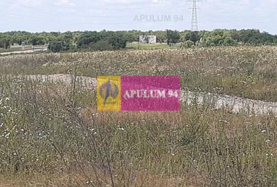 Teren 715mp în Snagov lângă Equestria - 13