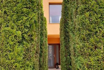 Vila  5 camere, teren 1500mp, zona linistita langa padure, cartier Primaverii, R - 15