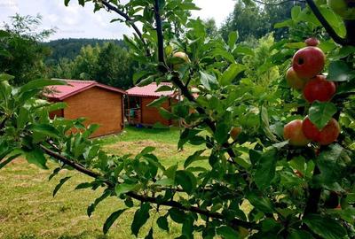 RATE Pensiune 12 cam Superba*** malul Lac Mocearu piscina ,16277mp - 15