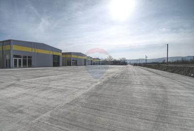 Hala industriala, de vanzare – 600 mp utili, 2300 mp teren Baciu - 5