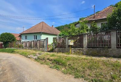 Proprietate formata din 3 imobile, strada Caraiman, nr. 21 Sighisoara - 6