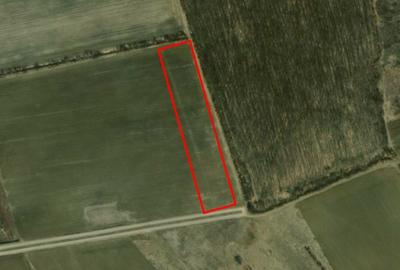 REL4000892 Corbeana - Ostratu 15200 mp langa padure - 7