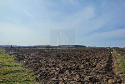 Teren de Vanzare Industrial Caciulati A3 - 9