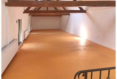 Spațiu de birouri sau productie Cristian - 1