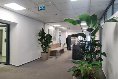 Spatii birou Piata Victoriei - Clinica/office - 2