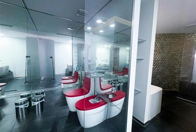 Apartament cu 4 camere de inchiriat Cortina Residence Herastrau - 28