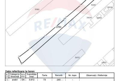 Vanzare Teren Constructii Langa Lac și Padure | Branesti | Ocazie! - 9