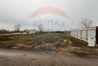 Teren intravilan de vanzare, 1000 mp, Branesti,  lfov - 11