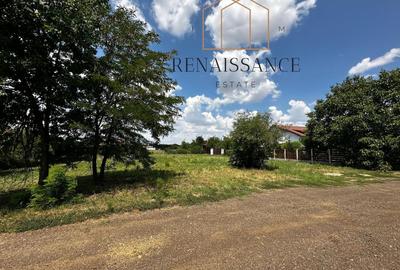 Dumbravita Teren Intravilan 1466mp Front 29m | Langa Padure - 3