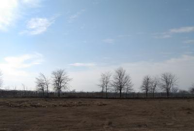 Vanzare teren 2.000 mp in Constanta zona Varful cu Dor-Sere - 4