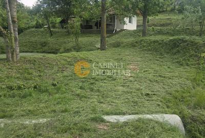 Oază de liniște și natură! Casă  cu 2 heleșteie și pârâu în curte – Probota - 10