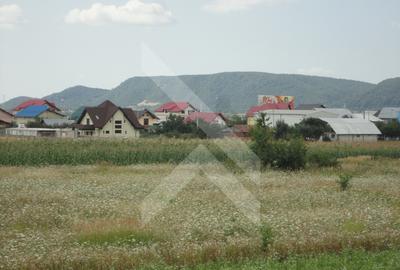 Teren intravilan pentru casa de vacanta - PRAHOVA (Banesti) - 1