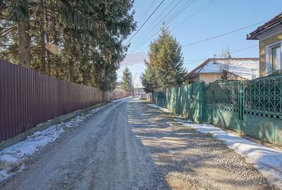 Teren de Vis în Tărlungeni cu Căsuță din Lemn – Liniștea Te Așteaptă - 2