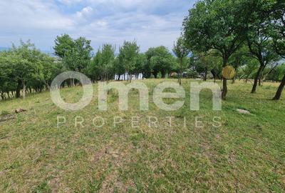 Teren de vânzare | Suprafață 10.040 mp | 2.500 € / ar | Strada Nucului - 8