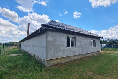 CASA DE VANZARE PODUL OLTULUI CU ACCES PRIVAT - 4