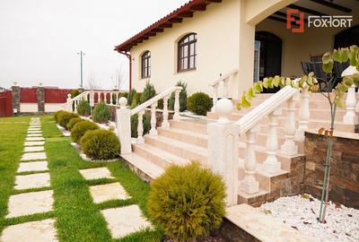 Proprietate unicata in stil clasic in Mosnita Noua - ID V7206 - 10