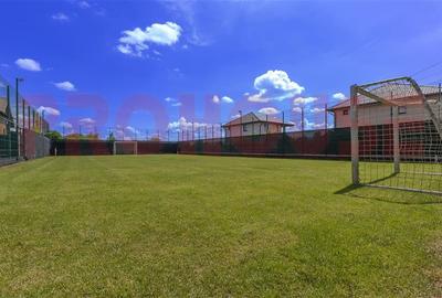 Domeniu superb - vila S+P+M si teren - 5