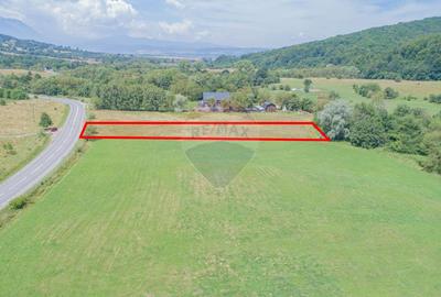 Teren de 4.000 mp cu deschidere la DN73A – Cheile Rasnoavei - 2
