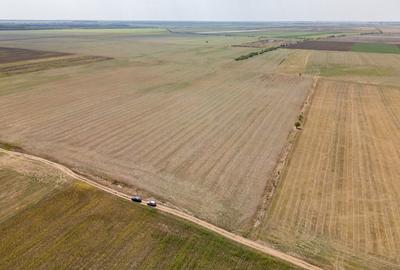 Teren Construcții intravilan de 7500 mp, în Dascălu