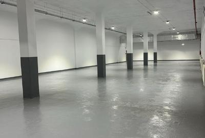 Spațiu industrial, 450 mp în Păcii