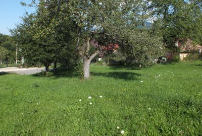 Teren Bran Sohodol , o zona de vis, o priveliste unica spre muntii Bucegi! - 3