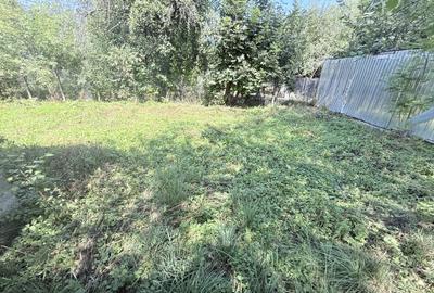 Casa interbelică cu arhitectură deosebită+Anexa și teren 1570 mp - 35