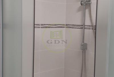 Apartament 2 camere de inchiriat Doamna Stanca - 16