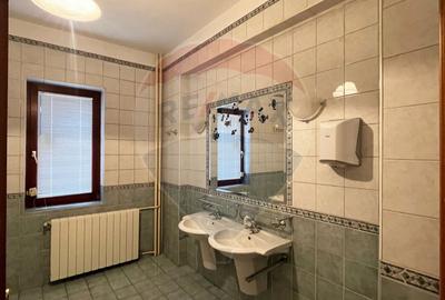 Apartament / Birou, 4 camere, Floreasca - Dorobanti, 163 mp + curte - 20