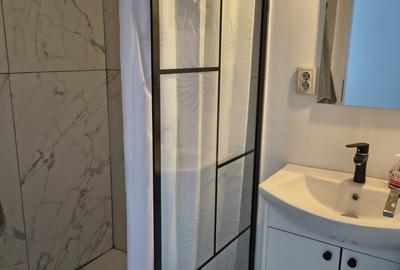 Apartament in zona centrala,finisat (cladire istorica ),mobilat,cu parcare - 8