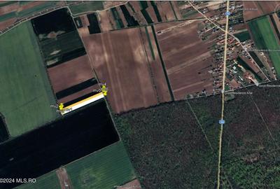 Moara Vlasiei - langa Padurea Biglaru, 11.884 mp, deschidere 40 ml - 5