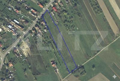 Teren Construcții intravilan de 8291 mp, în Viile Satu Mare