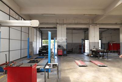 Hală industrială 1.168 mp | Adjud | Producție • Service • Logistică - 9