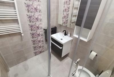 INCHIRIEZ ap. 3 camere de lux,zona Doamna Stanca - 10