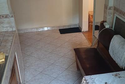 Rahova-statia Petre Ispirescu-str.Dunavat - 19