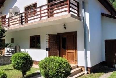 Casa de vacanță Râu Mare Retezat - 1