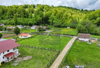 Teren de 2.300 mp în satul Buzăiel, Vama Buzăului - 11