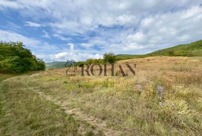Teren 4.000 mp | Front Generos 47 ml | Utilități | La Asfalt | Cricău - 4