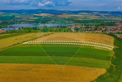 Oportunitate pentru fermieri: 10.800 mp teren arabil în Rotbav, Brașov - 3
