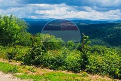 De vânzare teren intravilan 3,690mp Suncuius - 8