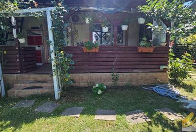 Casa individuala de inchiriat Clinceni-Olteni - 10