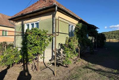 Vand in Ernei casa cu 2 camere, 2530 mp teren, - 2