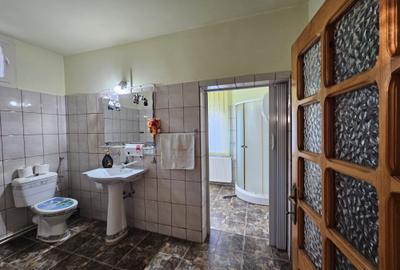 O casă cu suflet, pe un teren cât o poveste întreagă-Deva, zona Vulcan - 14