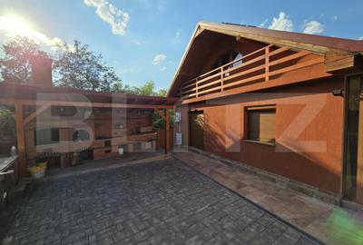 Casa individuala de vanzare, D+P+M, 160 mp, teren 250 mp, zona Criseni - 11