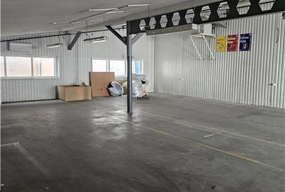 Exclusivitate - Proprietate Industriala De Vanzare - Productie - Depozitare - 15